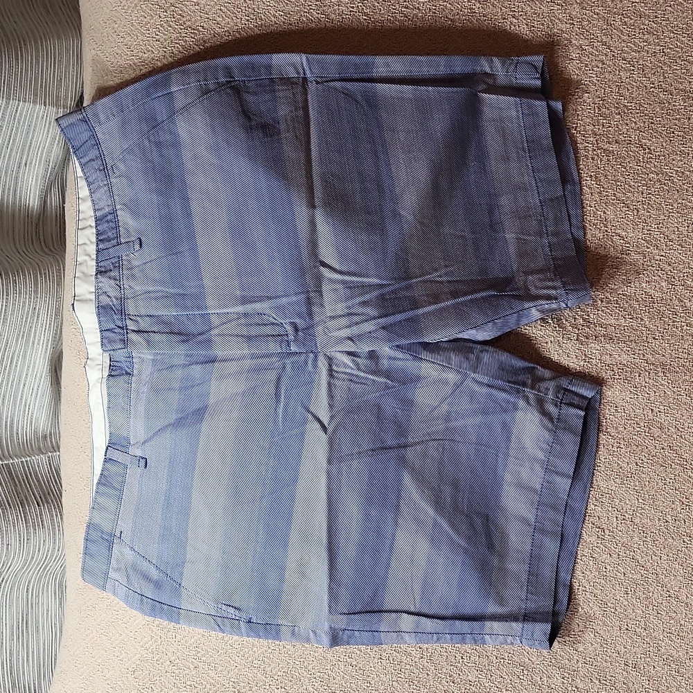 Calvin Klein Men's Slim Fit Blue Striped Chino Shorts - Size 38